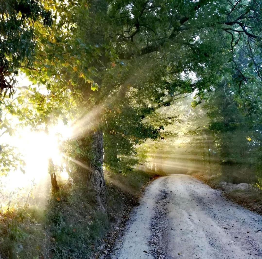 La Quercia Incantata Camerino Esterno foto